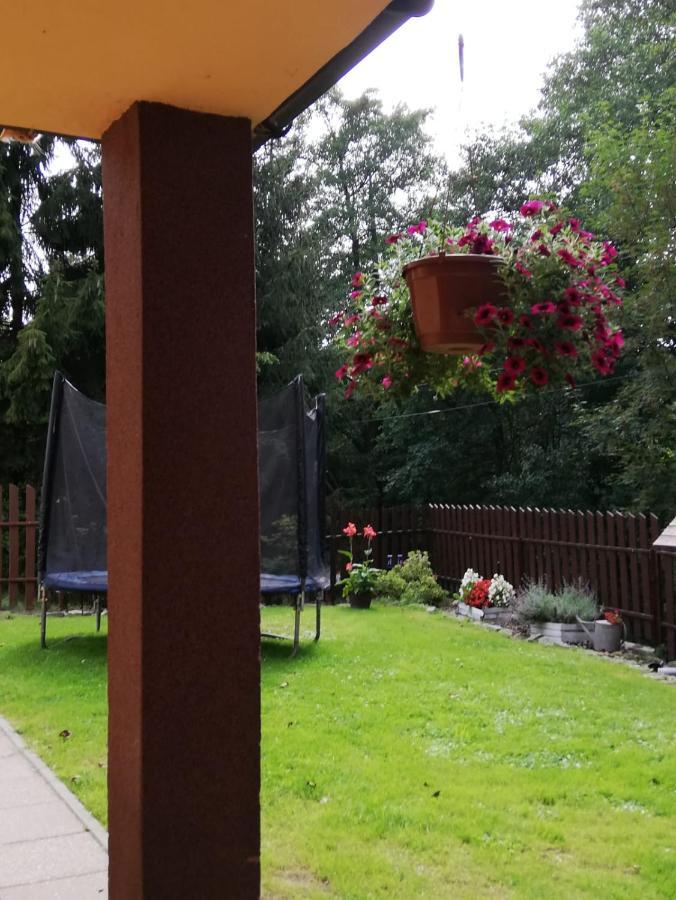 Apartament Nad Szumiacym Potokiem Wilkowice Экстерьер фото