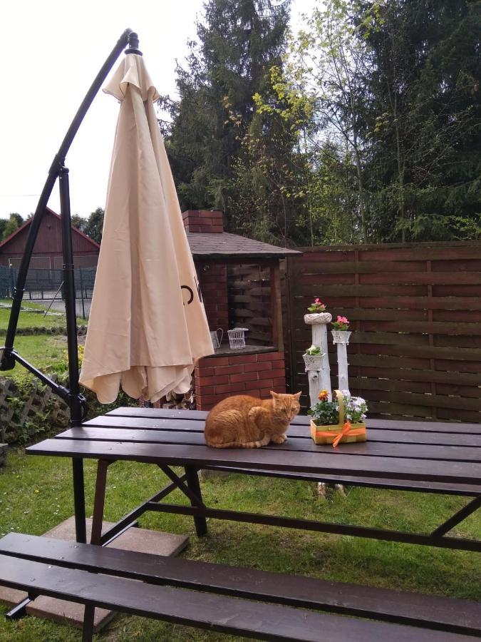 Apartament Nad Szumiacym Potokiem Wilkowice Экстерьер фото